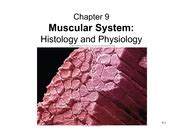 19 - Skeletal Muscle Physiology - Chapter 9 Muscular System: Histology and Physiology 9-1 ...