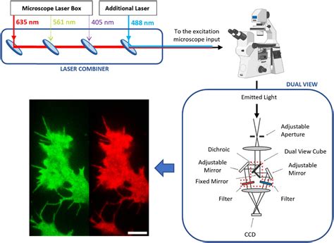 Setting up multicolour TIRF microscopy down to the single molecule level