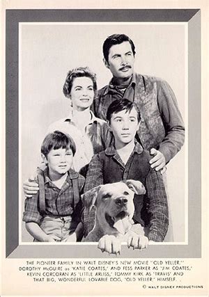 Kevin Corcoran as Arliss Coates in Old Yeller - Old Yeller Photo (38547087) - Fanpop