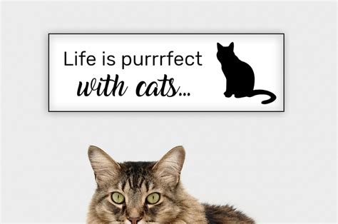 Custom & Personalized Cat Signs Online UK | Marktek