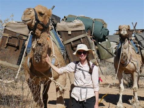 Students trek with camels across Simpson Desert to help with scientific surveys - CSU News