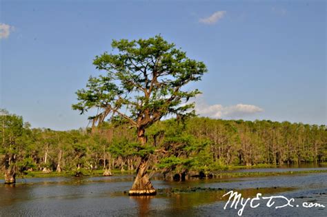 10 Texas Paddling Trails to Open on Caddo Lake and Big Cypress Bayou on World Wetlands Day – My ...