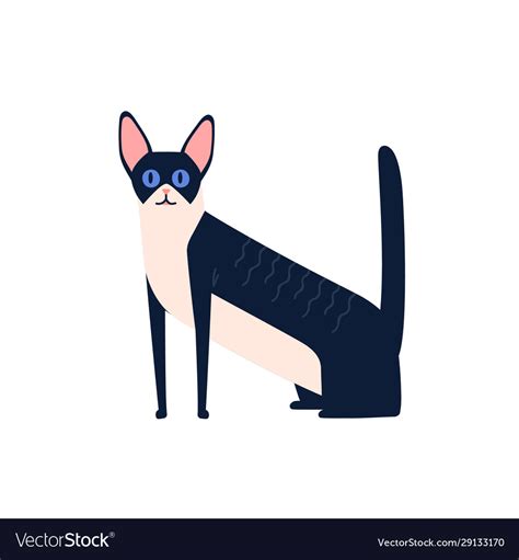 Cartoon black and white cornish rex cat breed Vector Image