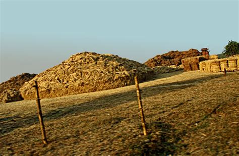 Stock Pictures: Hay stacks in Rural India