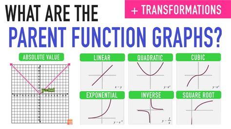 Parent Functions and Parent Graphs Explained — Mashup Math