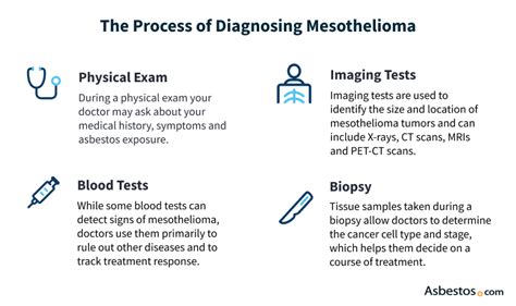 Mesothelioma Diagnosis: Important Mesothelioma Tests & Detection Steps