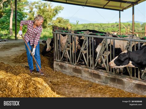 Farmer Woman Working Image & Photo (Free Trial) | Bigstock