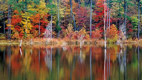 Fall foliage 2017: Here's when the leaves will be at peak in Indiana