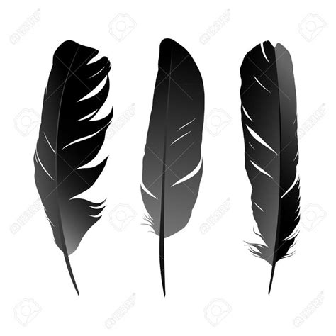 Vector Set Of Black Bird's Feather On White Background Royalty ...