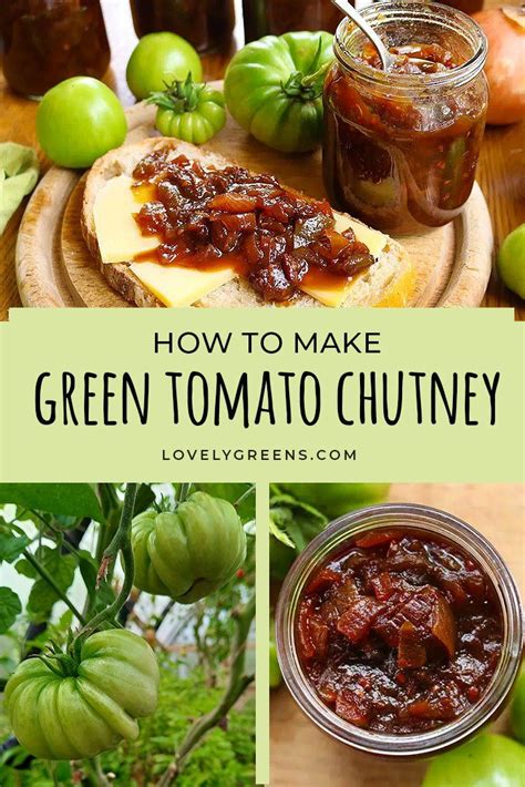 how to make green tomato chutney with fresh tomatoes and peppers on the ...