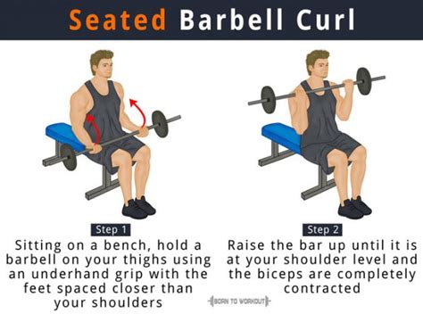 Reverse Barbell Curl: What is it, Proper Form, Muscles Worked