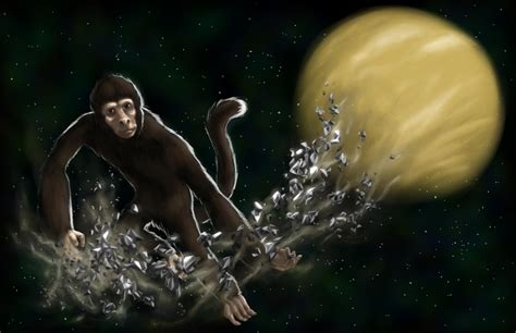 Chinese Zodiac: Element of Metal (Monkey) by verulence on DeviantArt