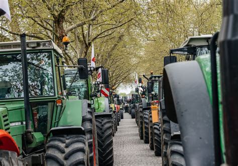 Europe’s farmer protests look like a revolt against climate action - it ...