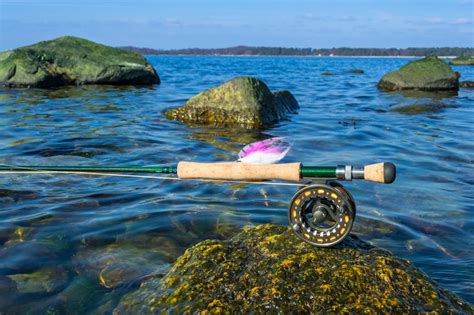 Saltwater Fly Fishing: Picking The Best Reel and Cast