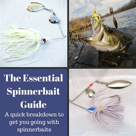 The essential spinnerbait guide