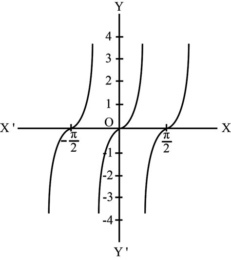 Sketch the graph of the following functions:y=tan 2 x