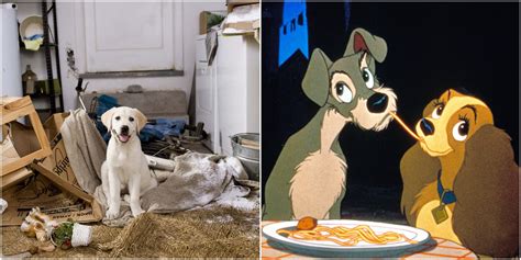 Famous Dog Cartoon Characters