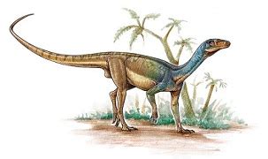 Pisanosaurus dinosaurs , facts | pictures -Pisanosaurus habitat.