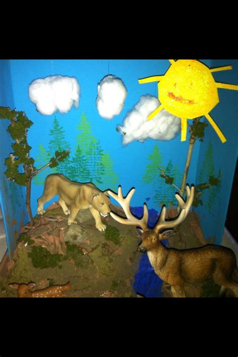 Animal Habitat Diorama | Class Projects for Kids