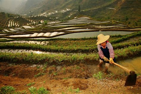 terraced rice fields of yuanyang china 3