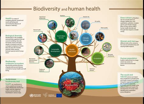 Biodiversity and the healthy society