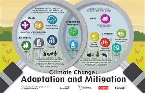 Climate Change Mitigation and Adaptation: A Dual Approach for a Sustainable Future