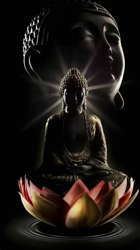 Gautam Buddha Ke, buddha in lotus buddha, buddha in lotus, lord, god ...