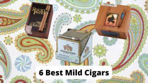 6 Best Mild Cigars (All Tastes and Budgets) 2024 - 7Gents