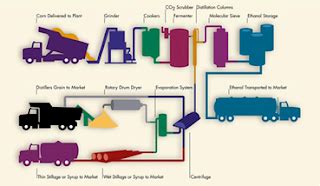 Intl Studies: Alternative Fuels (Ethanol vs. Biodiesel