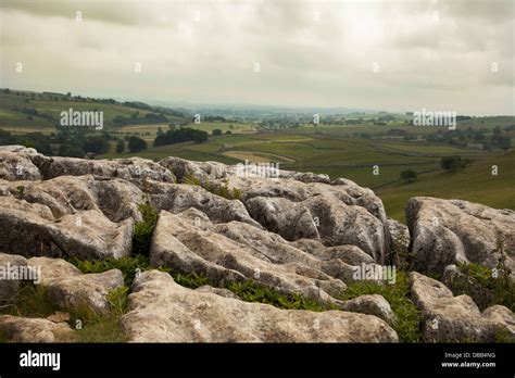 Limestone pavement Malham Cove Yorkshire UK Stock Photo - Alamy