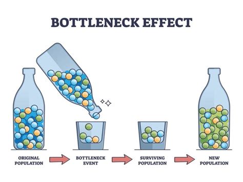 272 Bottleneck Effect Royalty-Free Images, Stock Photos & Pictures ...