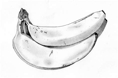 Banana Sketch Images at PaintingValley.com | Explore collection of Banana Sketch Images