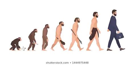 Human Evolution Stages Evolutionary Process Gradual Stock Illustration ...