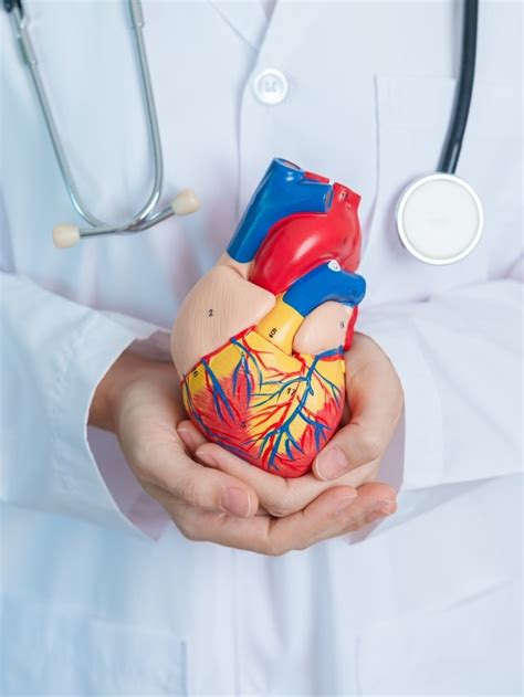 What is aortic stenosis: Causes, symptoms, tips to prevent