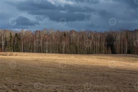 Early Spring Landscapes 15565511 Stock Photo at Vecteezy