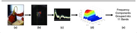 Steps undertaken during waveform analysis. (a) Position of ultrasound... | Download Scientific ...