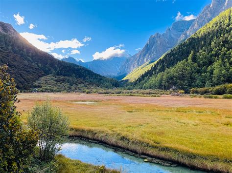 Mountain Landscape with Forests and a Stream · Free Stock Photo