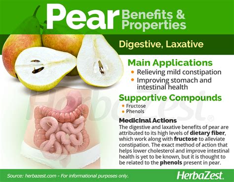 Pear | HerbaZest