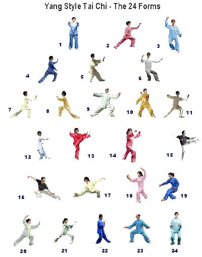 Tai Chi 24 Form