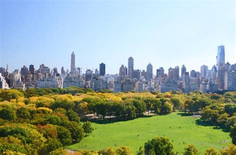 The 19 Best New York City Tours