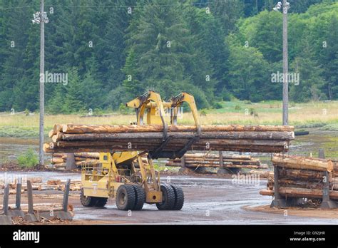 Lumber mill log storage with logging equipment, Telegraph Cove ...