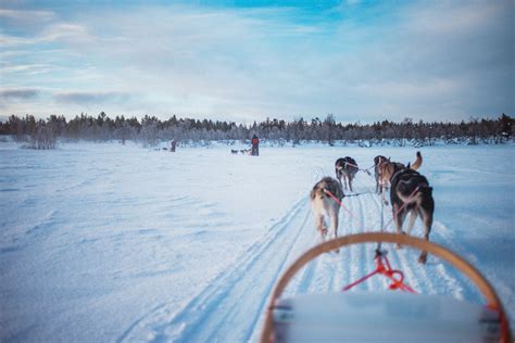 Winter in Kiruna – things to see and do in a winter wonderland in ...