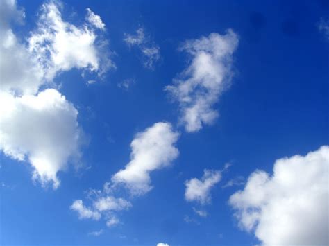 Free Images : nature, horizon, cloud, white, sunlight, view, summer ...