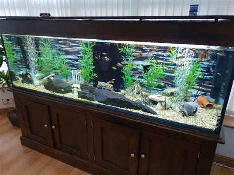 Very Large Fish Tank + All Accessories , Delivery and Installation possible ONLY if local. | in ...