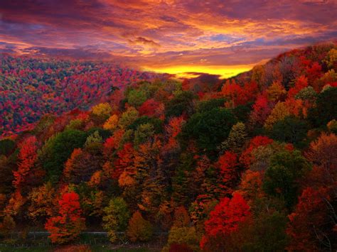 Across The Universe: Country Road Autumn Mountain Sunset