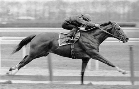 According to several studies, Triple Crown winner Secretariat had a ...