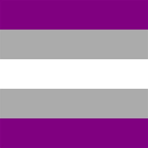 Pixilart - Grey ace Flag by flags-pride