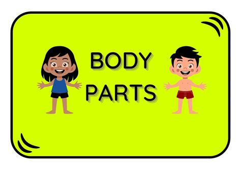 Sfârșit global bobina body parts flashcards pdf leşin Membru ajunge din urmă
