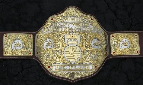 WCW BIG GOLD World Heavyweight Championship Belt Ric Flair Autograph ...