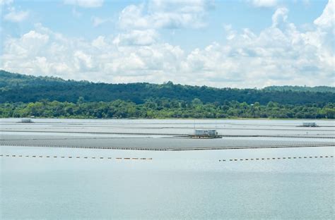 Premium Photo | Floating solar farm or floating photovoltaics solar power landscape of solar ...